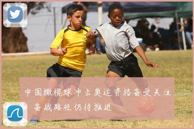 中国橄榄球冲击奥运资格备受关注,备战路径仍待推进