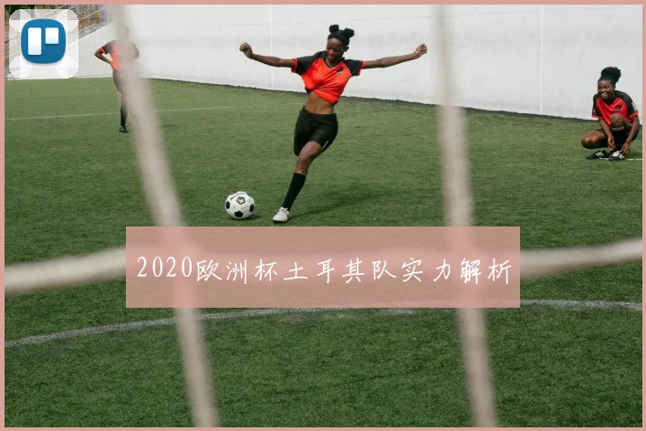 2020欧洲杯土耳其队实力解析
