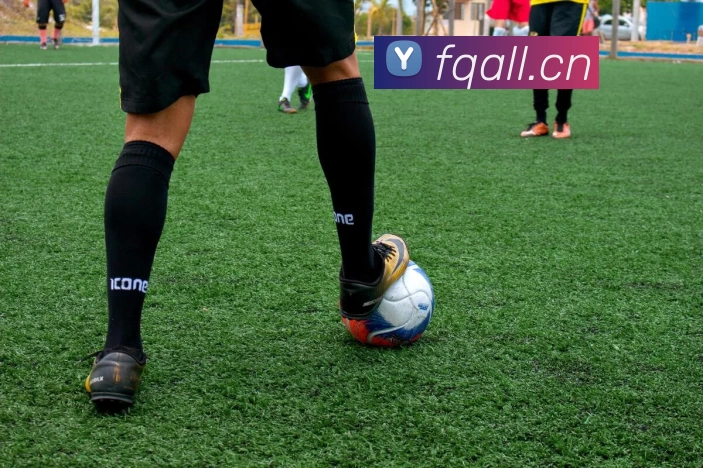 多媒体互动体验